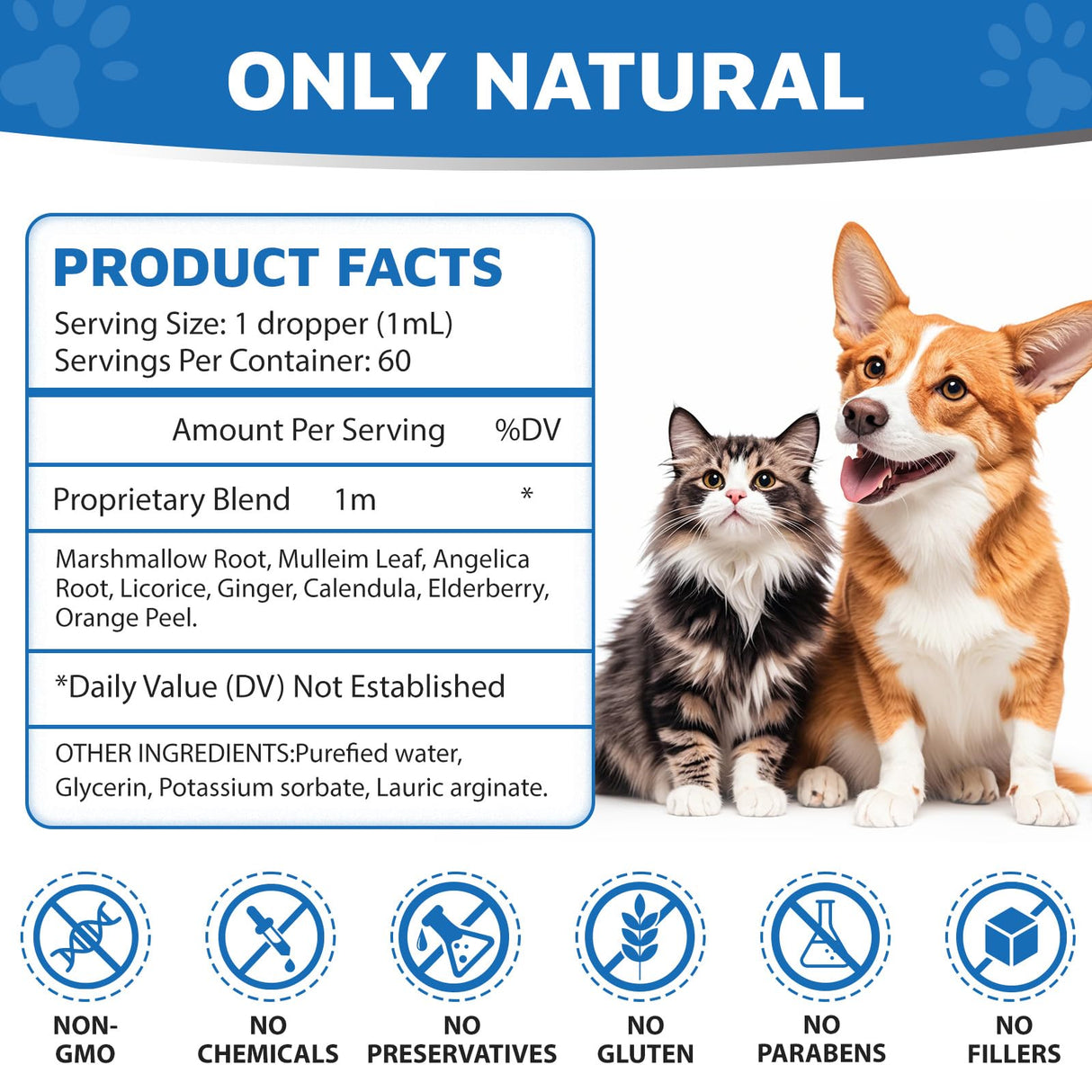 Kennel Cough Herbal Drops for Dogs & Cats,Dog Cough Treatment,Dog Cough Suppressant,Kennel Cough for Dogs,Coughing Treatment Liquid,Cough Treatment for Cats,Natural Cough Supplement for Cat