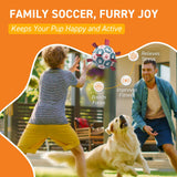 QDAN Dog Balls, World Cup Soccer Ball with Straps, Durable Herding Balls for Small Medium Pet, Puppy Birthday Gifts, Dog Water Toy, Pet Toys Puppy Ball (6 Inch)