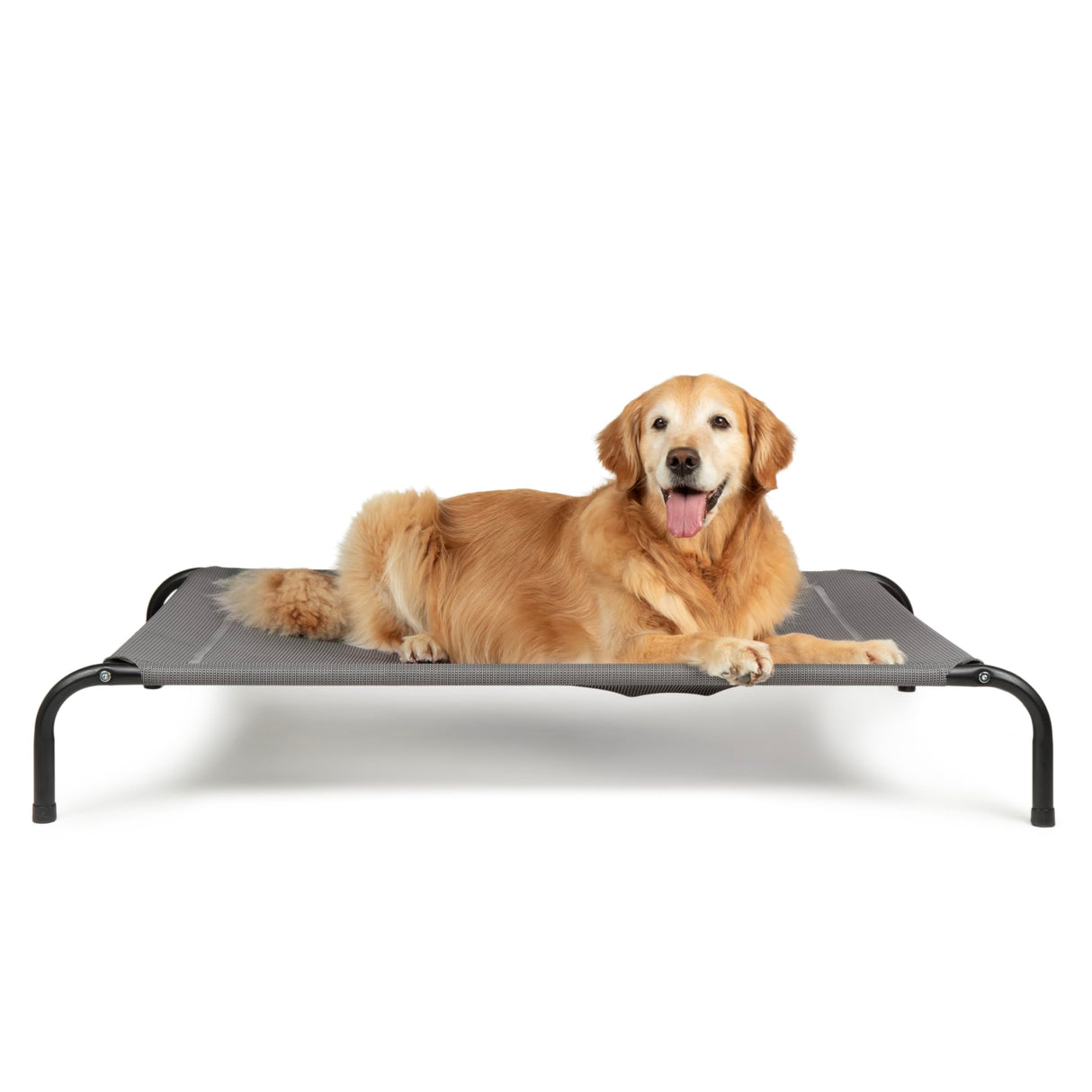 FurHaven Elevated Pet Cots - Cooling & Breathable Nylon Mesh Hammock for Large Dogs/Easy-to-Assemble / / Durable and Reinforced/Perfect for Rest & Relaxation Outdoors - Graphite Gray, Large