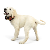 Huxley & Kent Ruff Pet Scrunchy | Shiny Christmas Plaid (Extra-Large) | Festive Christmas/Holiday Neckwear for Dogs/Cats | Fun Stretchable Costume Accessory | Soft Collar with Bells