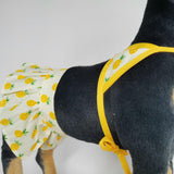 Dog Bikini Swimsuit Summer Puppy Bathing Dress Beach Clothes Cat Costume for Puppy Dog Cat Pineapple S