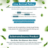 SubstrateSource Java Fern Live Aquarium Plants - Potted Freshwater Plant for Fish Tanks - Beginner Friendly, Low Light (Windelov, 1 Pot)
