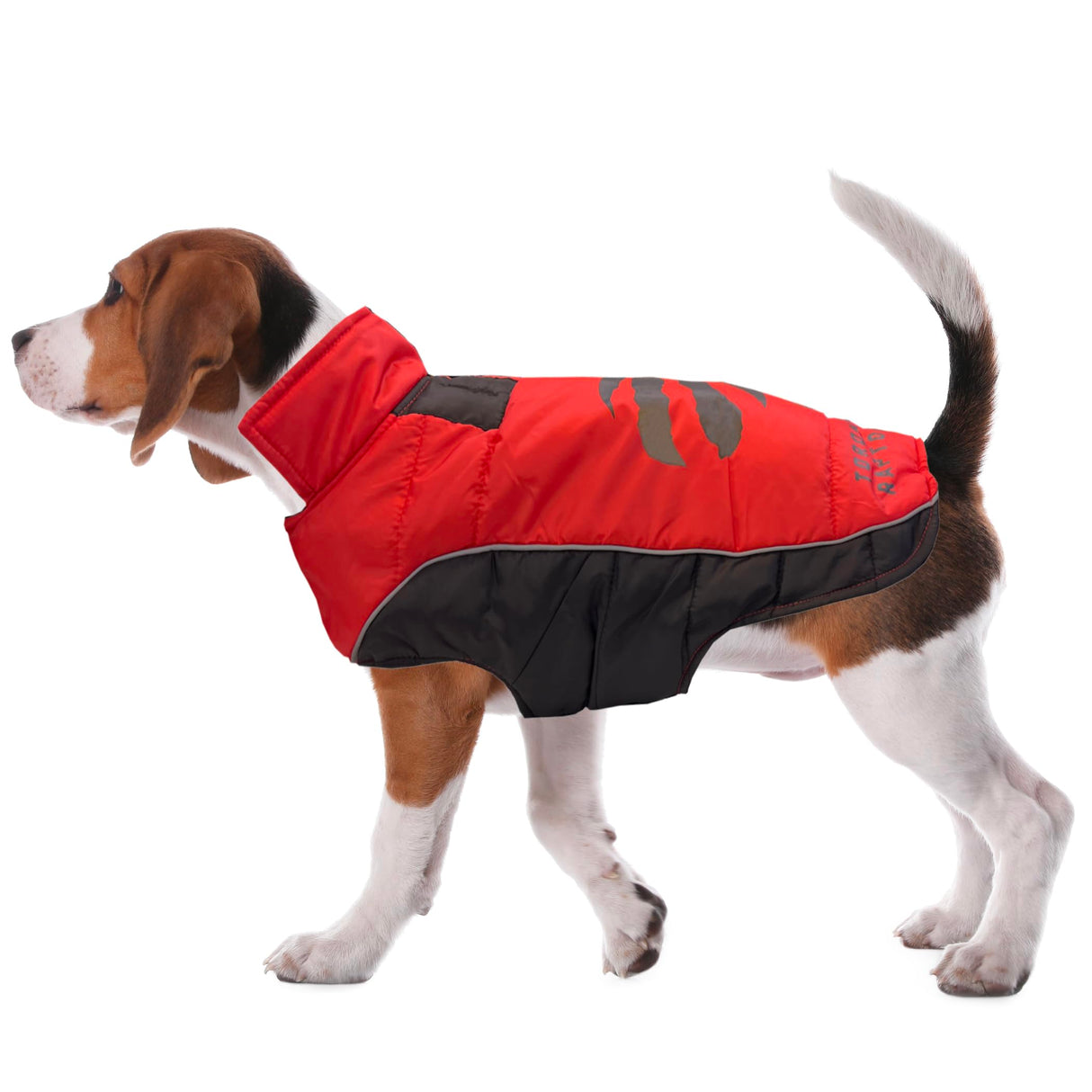 NBA Toronto Raptors Puffer Vest for Dogs & Cats, Size Small. Warm, Cozy, and Waterproof Dog Coat, for Small and Large Dogs/Cats. Best NBA Licensed PET Warming Sports Jacket