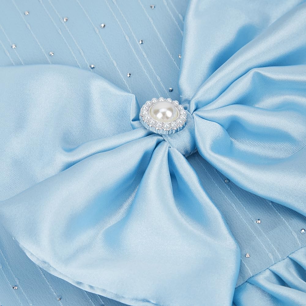 PawPleasure Dog Dress Pet Wedding Dress Princess Puppy Birthday Party Outfit Formal Apparel Girl for Small Medium Dogs Cats (Light Blue, Large)