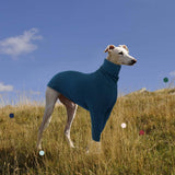 IECOii Greyhound Sweater, Cozy Italian Greyhound Jumpsuit, Pullover Dog Sweater for Small Dogs, Turtleneck Whippet Onesie Clothes for Spring Fall Outfits, Extra Soft Whippet T Shirts with Sleeves, XS