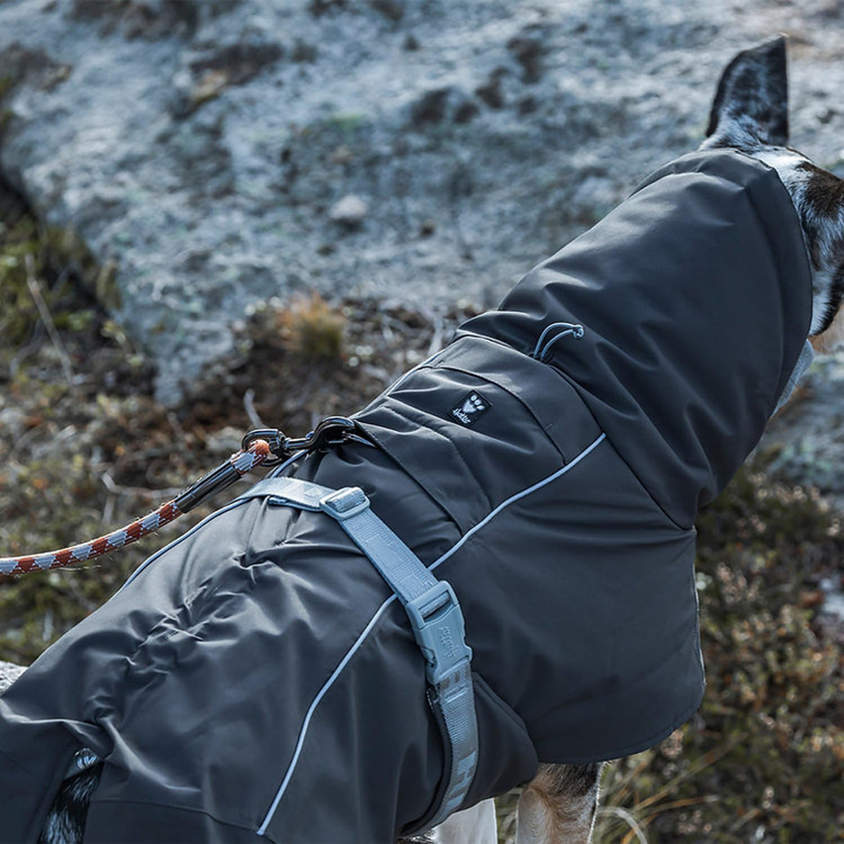 Hurtta Extreme-Warmer 2, Winter Dog Coat, BlackBerry, 18 in