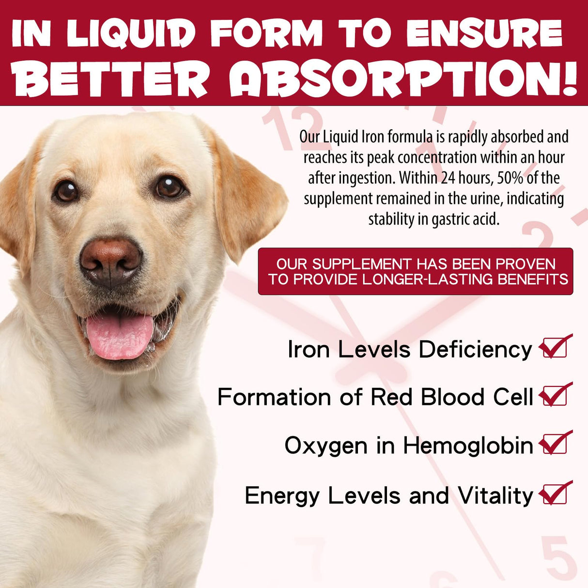 Iron Supplements for Dogs, Liquid Iron for Dogs with Folate and B12 Supports Anemia, Supplement for Anemia, Promotes Blood Health 2 oz