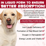 Iron Supplements for Dogs, Liquid Iron for Dogs with Folate and B12 Supports Anemia, Supplement for Anemia, Promotes Blood Health 2 oz