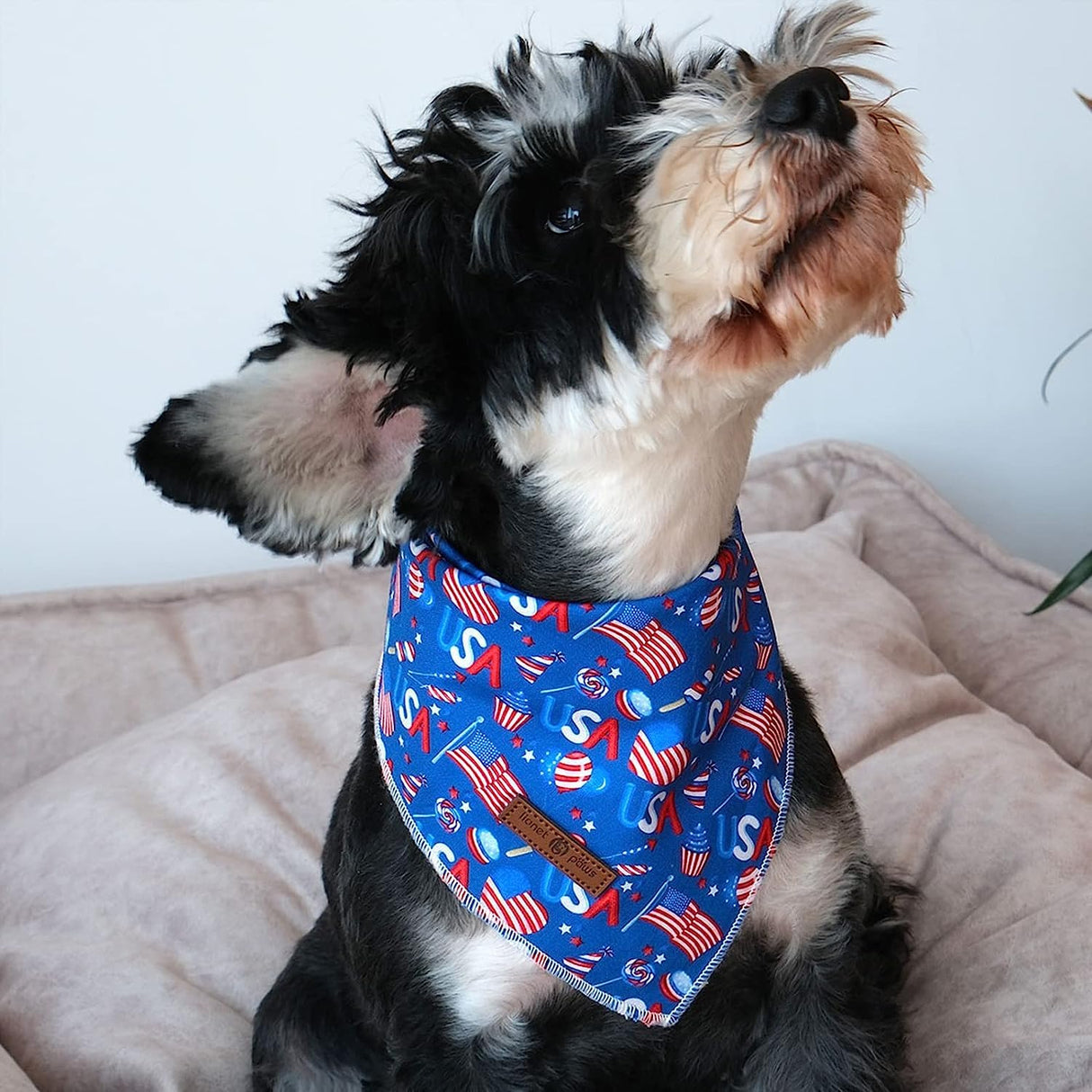 Lionet Paws 4th of July Dog Bandanas 2 Pack, American Washable Triangle Bibs Scarf Kerchief, Adjustable Holiday Scarves for Medium Large Extra Large Pets, USA & Flag