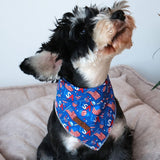 Lionet Paws 4th of July Dog Bandanas 2 Pack, American Washable Triangle Bibs Scarf Kerchief, Adjustable Holiday Scarves for Medium Large Extra Large Pets, USA & Flag