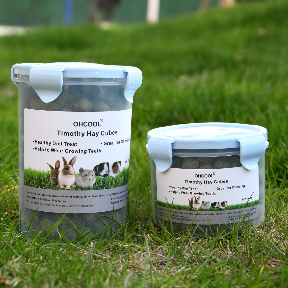 Ohcool Timothy Hay Cubes 10 oz with Small Size - Timothy Grass Pellets for Tortoises Rabbits Guinea Pig Chinchilla
