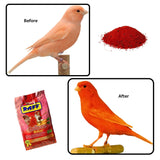 GLOBAL LUXURY MANAGEMENT Raff Delicate Rosso 500g – Red Canary Food Enriched with Honey and Carrots – Specialized Red Factor Formula for Seed-Eating Birds Seeking Vibrant Plumage and Optimal Health