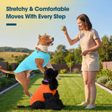 ROZKITCH 2 Pack Cooling Dog Shirt, Breathable Sun Protection T-Shirts, Pet Summer Vest, Quick Dry Dog Summer Clothes Beach Hiking Wailking for Large Dogs Boy Girl Orange&Blue 2XL