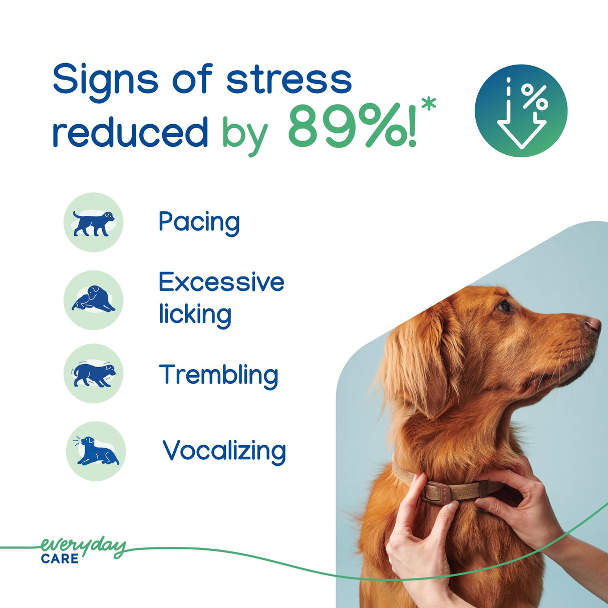 Virbac ZENIDOG Long Acting Dog Calming Pheromone Collar for Stress Relief, Medium/Large Dog - Lasts up to 3 Months