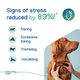 Virbac ZENIDOG Long Acting Dog Calming Pheromone Collar for Stress Relief, Medium/Large Dog - Lasts up to 3 Months