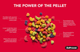 Zupreem 230335 Fruitblend Large Parrot Food, 17.5-Pound