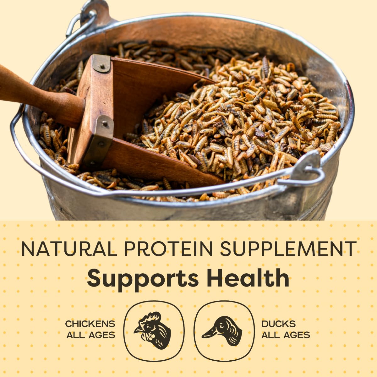 Scratch and Peck Grubs for Chickens and Ducks - 3.5 lbs Bag - Sustainably Sourced - Naturally High Protein, Calcium Dense - Dried Black Soldier Fly Larvae Bird Treats