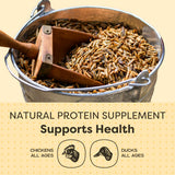 Scratch and Peck Grubs for Chickens and Ducks - 3.5 lbs Bag - Sustainably Sourced - Naturally High Protein, Calcium Dense - Dried Black Soldier Fly Larvae Bird Treats