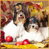JpGdn 50pcs/25pairs Fall Thanksgiving Dog Hair Bows with Rubber Band Bulk Autumn Fall Topknot Bowknot for Puppy Doggy Cat Yorkies Small Medium Boy Girl Animals Grooming Accessories