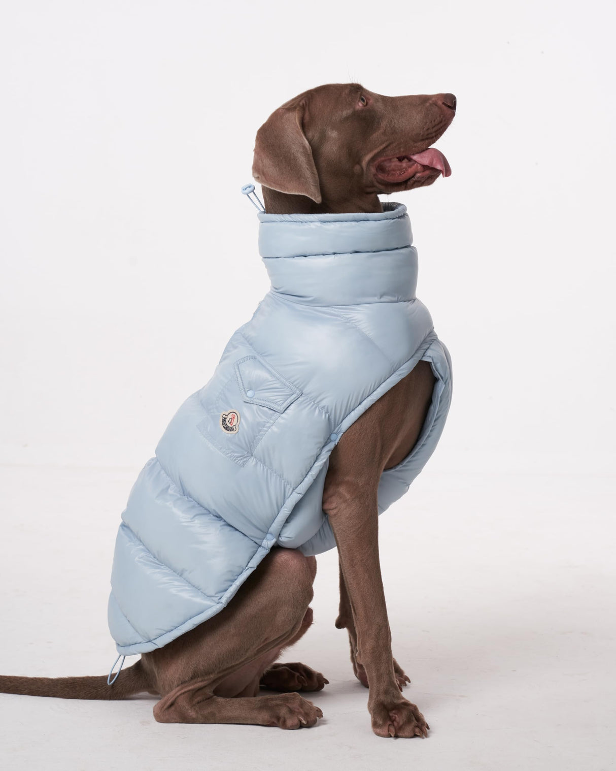 ChoChoCho Winter Dog Jacket, Cold Weather Coats, Lightweight, Thermal Insulated, Water-Resistant, Adjustable Dog Jackets with Leash Access for Small Medium Large Breeds (Blue, 3)