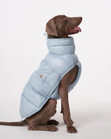 ChoChoCho Winter Dog Jacket, Cold Weather Coats, Lightweight, Thermal Insulated, Water-Resistant, Adjustable Dog Jackets with Leash Access for Small Medium Large Breeds (Blue, 3)
