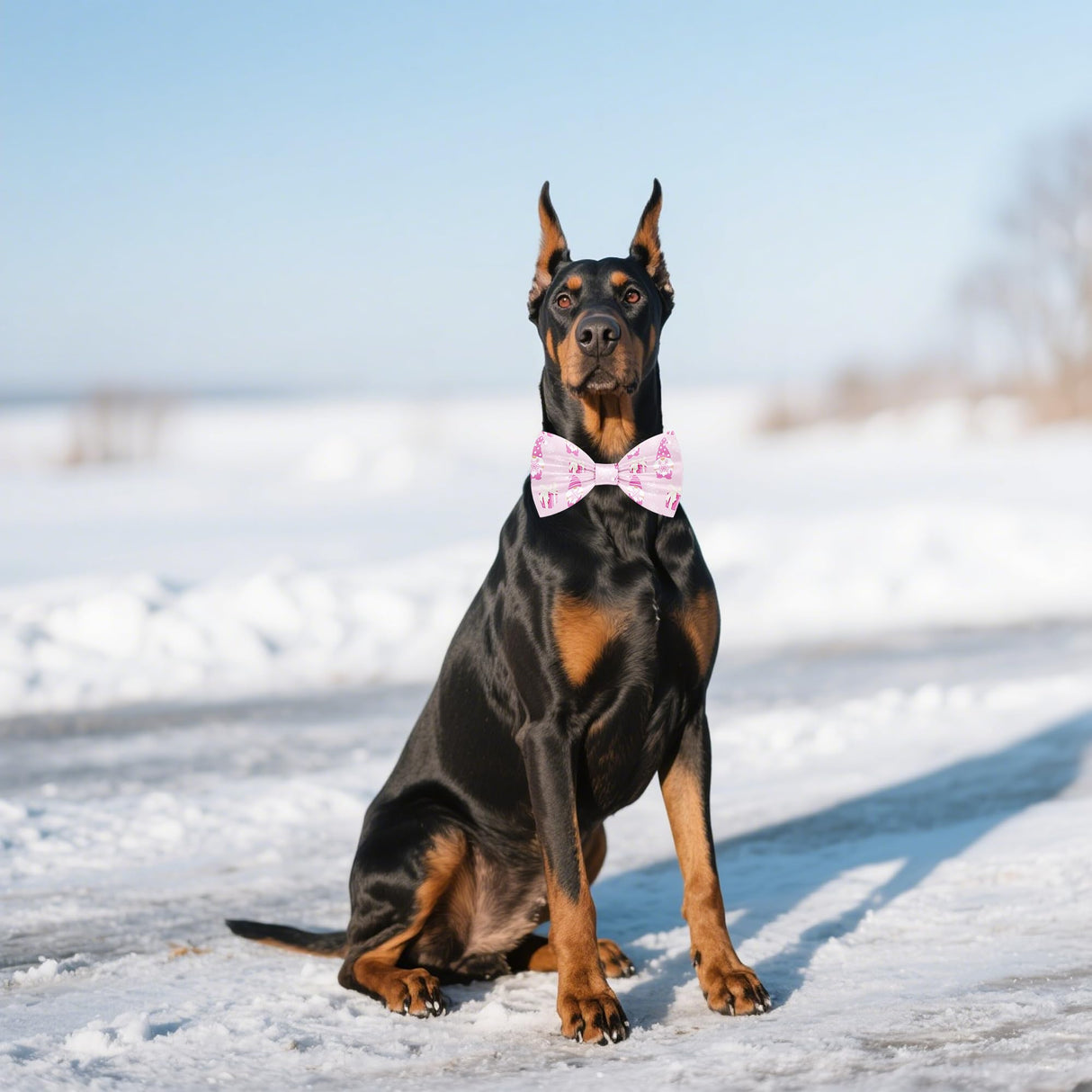 Pai Sence 30 PCS Winter Dog Bow Ties Bulk for Medium Large Dogs Winter Dogs Bowties with Adjustable Ties Bow Ties Party Grooming L