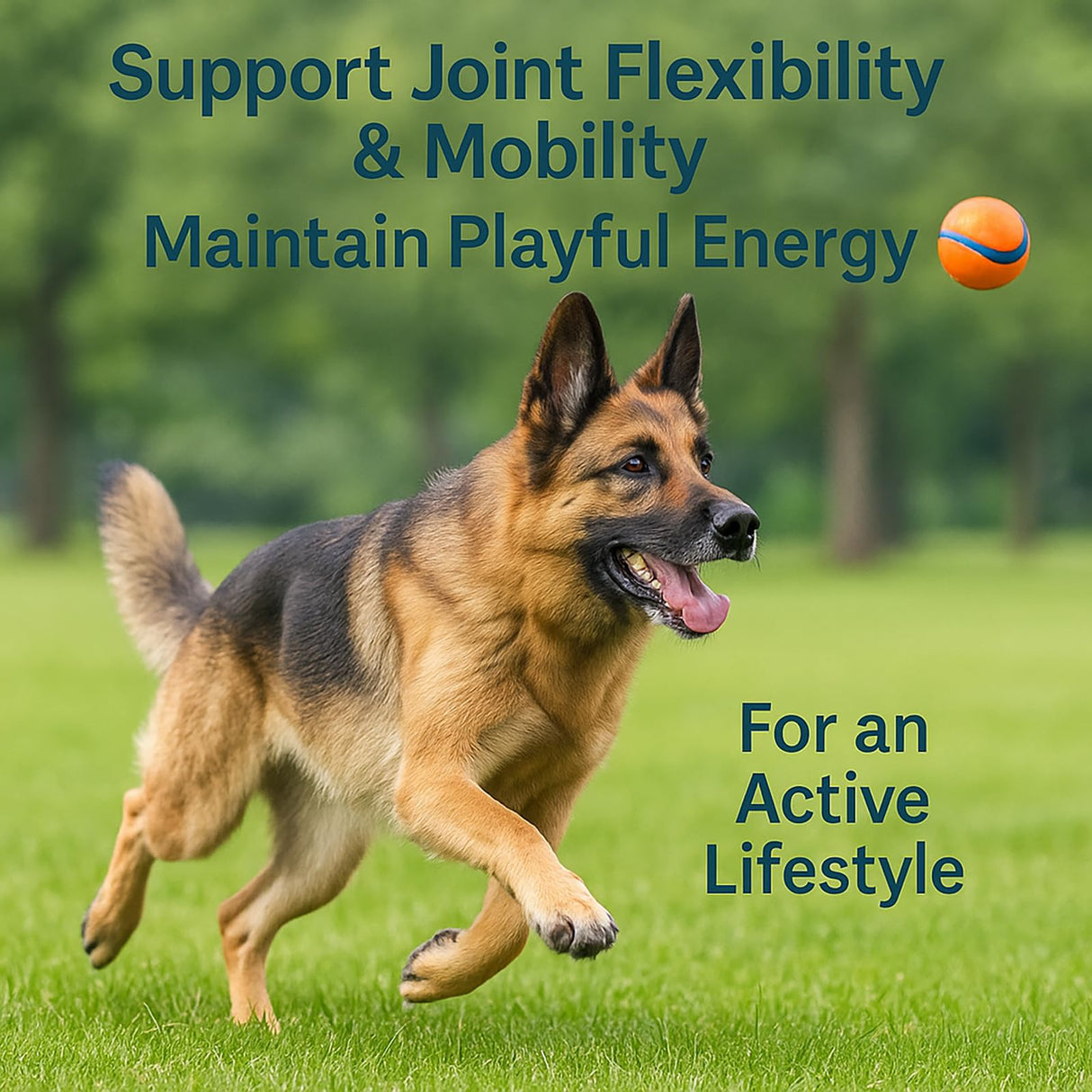 Healthy Petz Premium Liquid Collagen for Dogs - Skin & Coat Supplement with Hyaluronic Acid & Biotin, Supports Joint Health, Mobility & Hydration for All Dogs, Bacon Flavor - 2 fl oz (1)