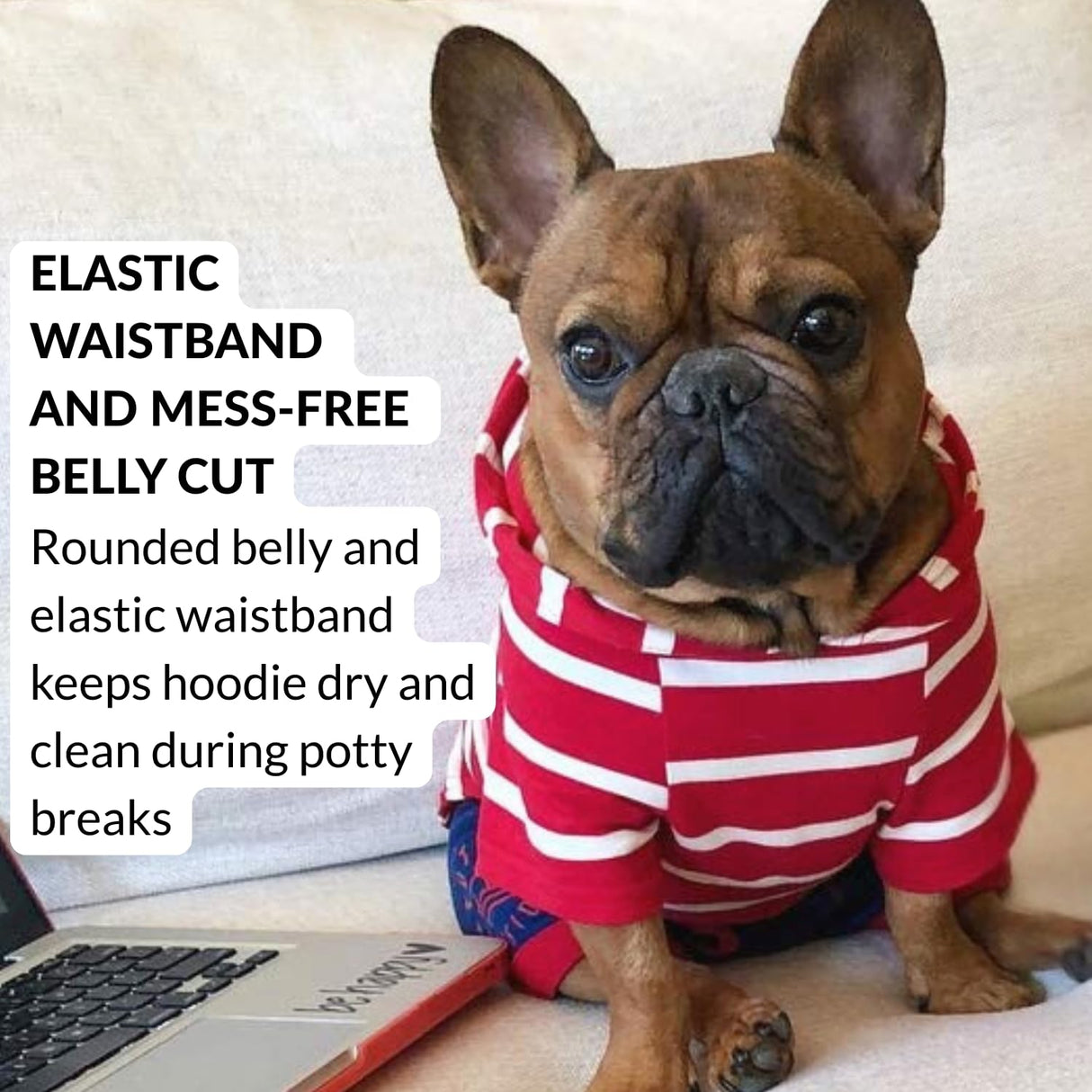 DJANGO Dog Hoodie – Warm, Lightweight, Soft & Stretchy Dog Sweater with Hood, Harness Hole & Elastic Waistband – Cozy Sweatshirt for Small Dogs up to 25 lbs, Dachshunds & Puppies – Crimson Red, Small