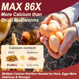 5LB Dried Black Soldier Fly Larvae for Chickens Bulk, Non GMO 86X High Calcium Grubs Than Meal Worms for Laying Hens,100% Natural BSF Larvae for Chicken Worms Wild Bird Treats, Protein Chickens Feed