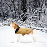 Best Furry Friends Duck Canvas Coat for Dogs, Khaki, Medium