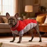 Haofy Dog Winter Coat, Reflective Strip Zipper Windproof Warm Jacket for Small Medium Large Dogs, with Built in Safety Belt for Cold Weather (S)