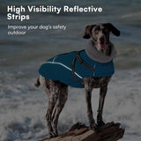 Queenmore Dog Coat,Windproof Dog Coat for Medium Dogs,Dogs Jackets with Harness Built in,Waterproof Doggy Coats with Zipper On Back,Reflective Cold Weather Coats for Dachshund，Boston Terrier,Blue,M