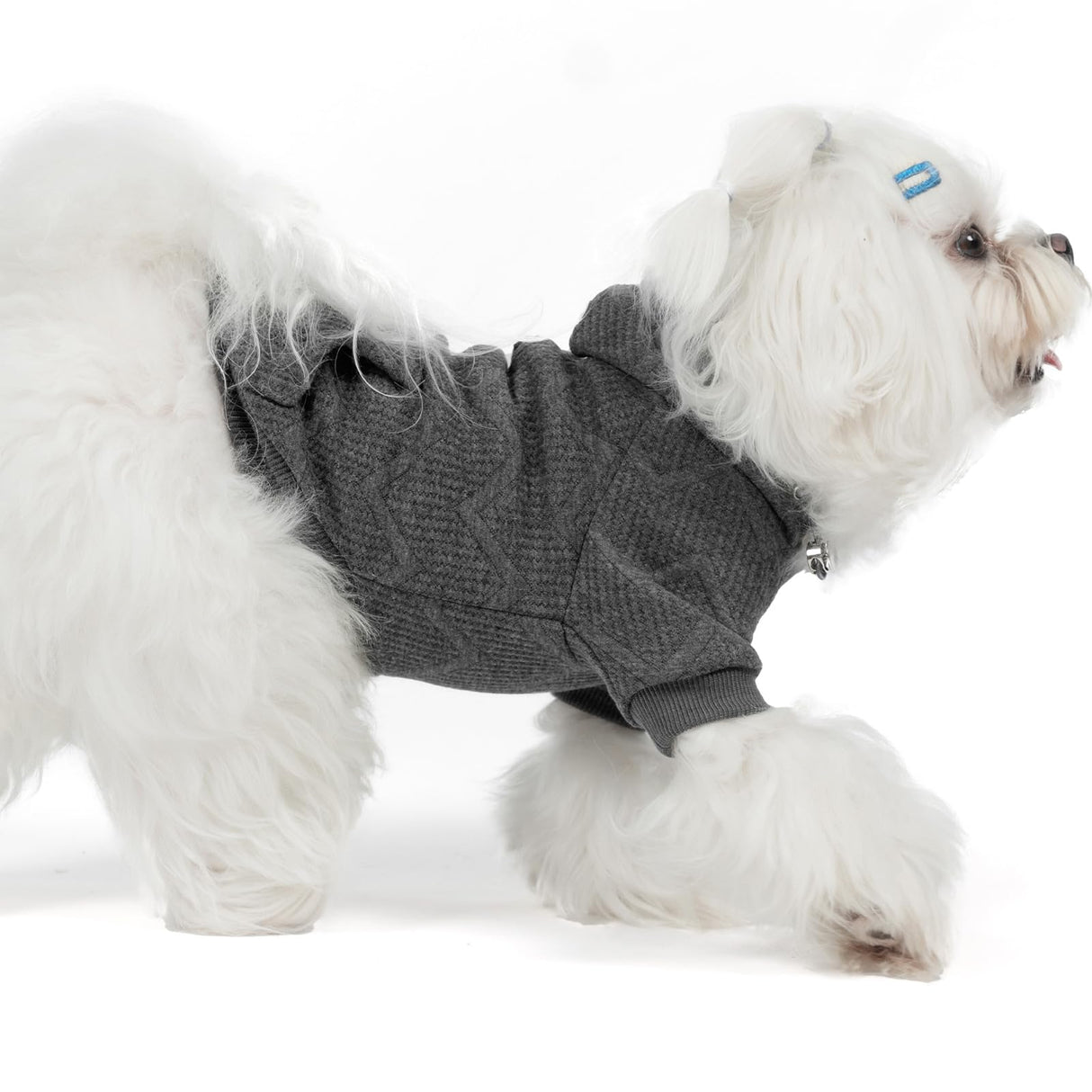 EXPAWLORER Dog Hoodie for Small Medium Large Dogs, Soft and Warm Fall Pet Clothes,Dog Sweater with Leash Hole and Pocket, Winter Cold Weather Coat, Sweatshirt for Boys Girls, Grey L