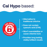 HTH 52030B Swimming Pool Care Shock, Swimming Pool Chlorinator Boosts Chlorine Levels, Cal Hypo Formula, 13.3oz (Pack of 6)