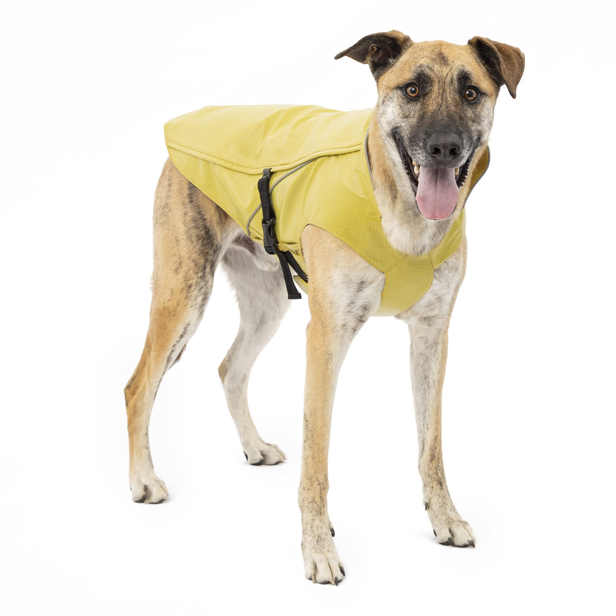Kurgo Halifax Rain Shell, Dog Raincoat, Waterproof Rain Jacket for Dogs, Pet Poncho, Reflective, Leash Opening, Quick Release Buckles (Slicker Yellow, Small)