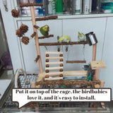 GOVNPJ Bird Playground with Feeder Cups, Wooden Parrot Play Stand for Cockatiel, Parakeet