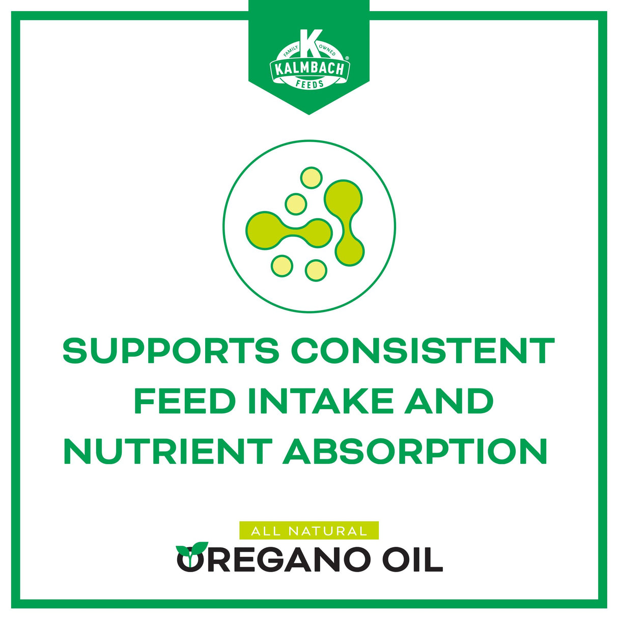 Oregano Oil Supplement for Poultry, 16 oz Bottle