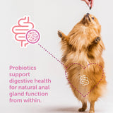 Veterinarian Recommended Solutions Gland-Ease Dog Canine Chews (for Small Dogs)