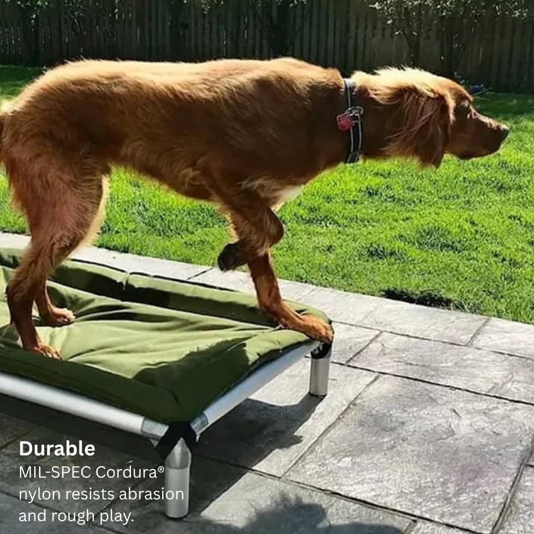 Kuranda Orthopedic Canvas Dog Bed Pad – Durable Cordura® Fabric with Quilted Padding - XX-Large - 50" x 36" - Royal Blue