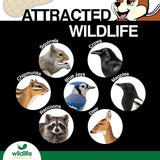 Wildlife Elements Peanut Party Unprocessed, Raw in-Shell Peanuts Wildlife Animal Food, 10lb - Rich in Protein, Healthy Fats, and Essential Nutrients for Birds, Squirrels and Waterfowl