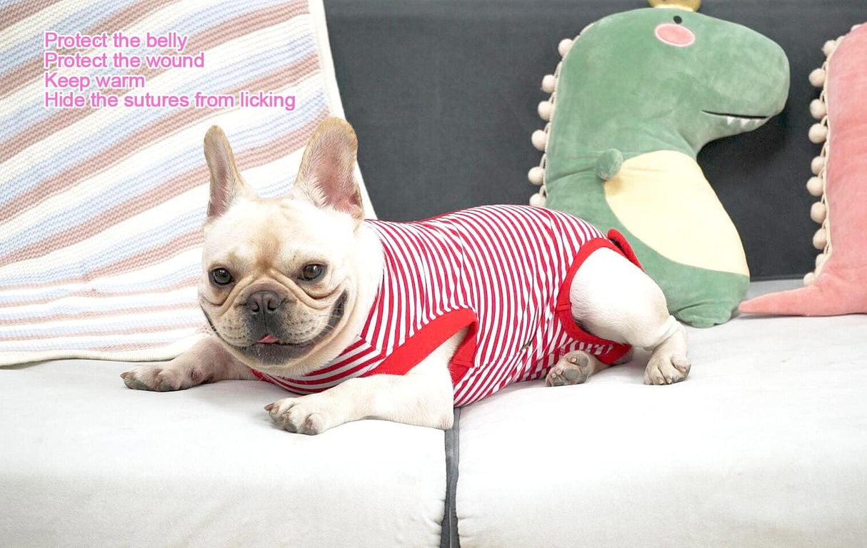 Sychien Dog Red Recovery Suit for XXX-Large Female Spay,Male Dog Surgery Suit,Narrow Red-White 3XL