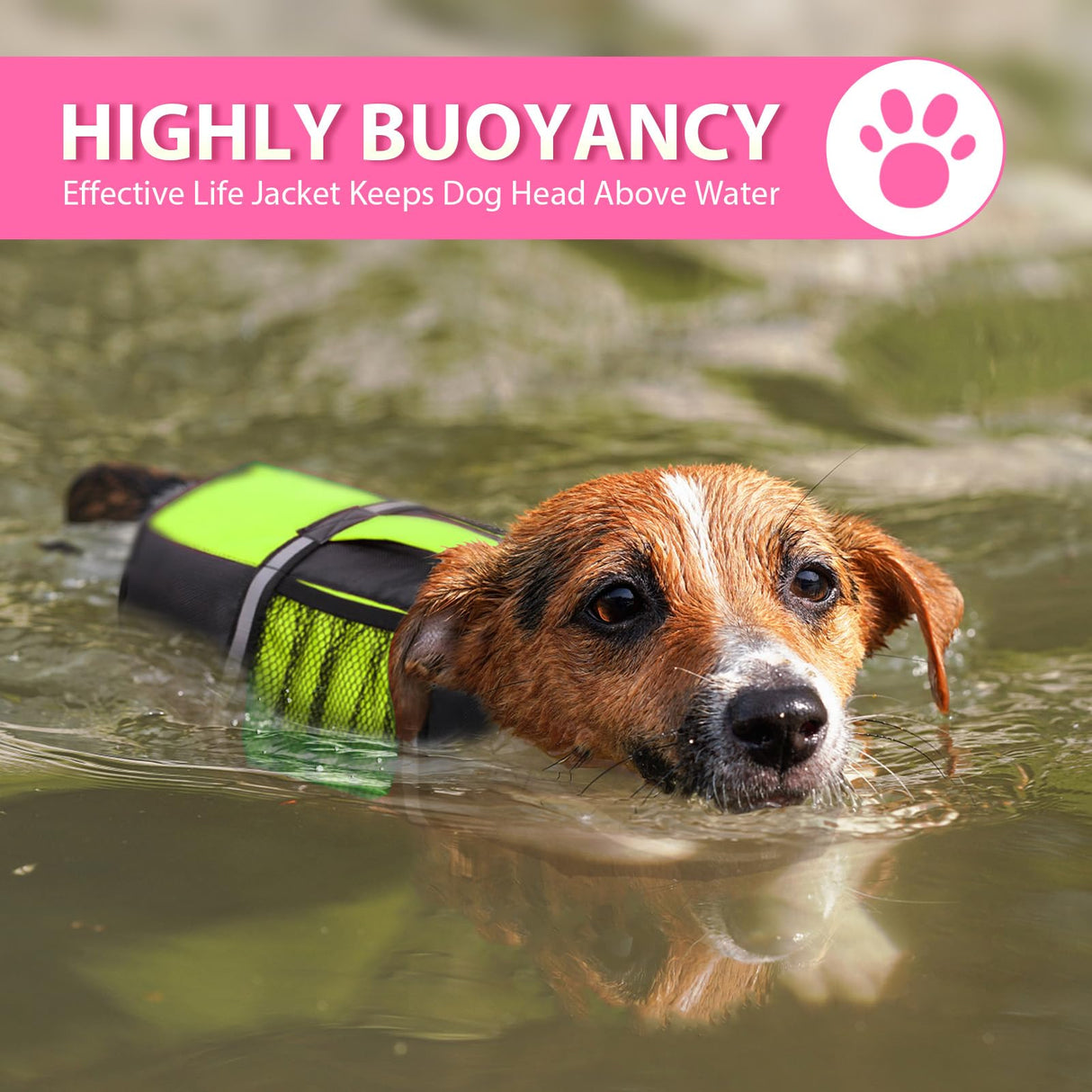 Queenmore Dog Life Jacket Lifesaver Preserver High Buoyancy with Emergency Grab Handle for Small & Medium Dogs Green, Large
