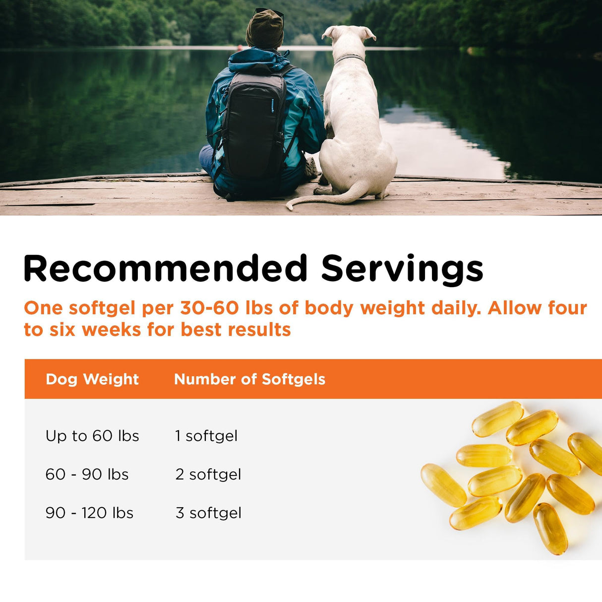 Nutri-Vet Fish Oil Supplement for Dogs, Omega 3, Fish Oil for Dogs, Pet Supplies, Pet Vitamins and Supplements, EPA DHA Formula, Puppy Vitamins, Shed Control, New Puppy Essentials, 100 Count