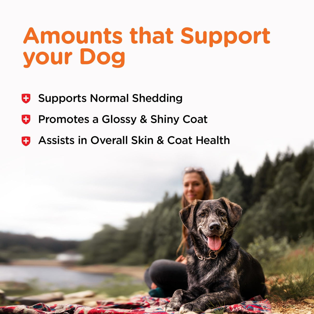 Nutri-Vet Fish Oil Supplement for Dogs, Omega 3, Fish Oil for Dogs, Pet Supplies, Pet Vitamins and Supplements, EPA DHA Formula, Puppy Vitamins, Shed Control, New Puppy Essentials, 100 Count