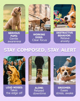 Dog Calming Drop – Anxiety Stress Relief for Dogs,Separation, Fireworks, Storm,Thunder Anxiety Support,Sleep Aid Dog Calming Supplement, GABA, L-Tryptophan, L-Theanine, Chamomile 60ML Calming for Dogs