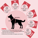 EMUST Dog Winter Coat XL, Thicken Fleece Lining Dog Snow Jacket Vest for Winter with Turtleneck, Adjustable Pet Puffer Jacket Snowsuit for Cold Weather, Red