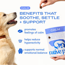 Load image into Gallery viewer, Native Pet Calming Chews for Dogs - Melatonin for Dogs Anxiety Relief - Grain Free All Natural Hemp Calming Treats &amp; L-Theanine Helps Manage Stress &amp; Separation Anxiety - Puppy Sleep Aid - 30 Chews
