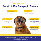 PupGrade Joint Support Supplement for Dogs - Natural Glucosamine Chondroitin with MSM - Hip & Joint Pain Relief - Recommended for Hip Dysplasia, Arthritis & Joint Disease - USA Tested - 60 Chews