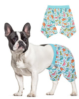 CuteBone Dog Swim Trunks Swimsuit Durable & Comfortable - Quick-Dry, Adjustable Waistband Shorts, UV Protection Bikini- Perfect for Beach, Pool & Outdoor Fun, Dinos DST11XL