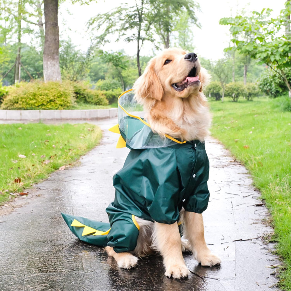 Harikaji Dog Raincoat, Tail Protect Legs Cover Dinosaur Cosplay Raincoat Costume Cute Animals Pattern Raincoat Jacket for Medium Large Dogs 4XL